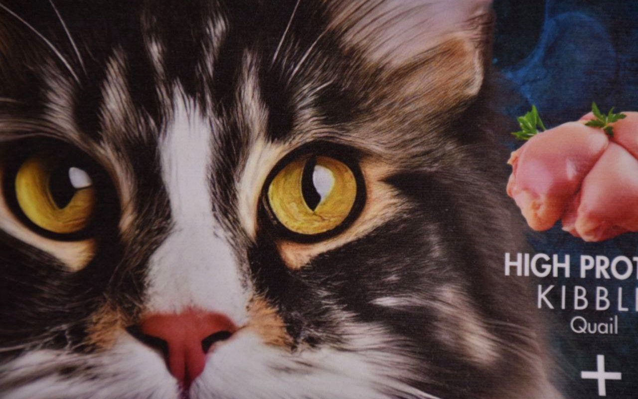 Empaque kraft pet food premium con impresión rotograbado