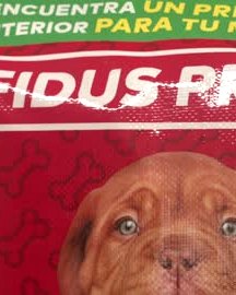 Fidus Pro Mastín