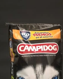 Campi Dog