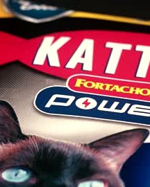 Kattos